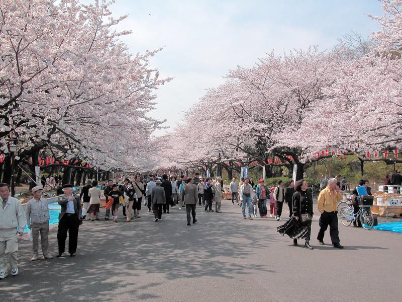Mervielle Ueno Tokyo Eksteriør billede